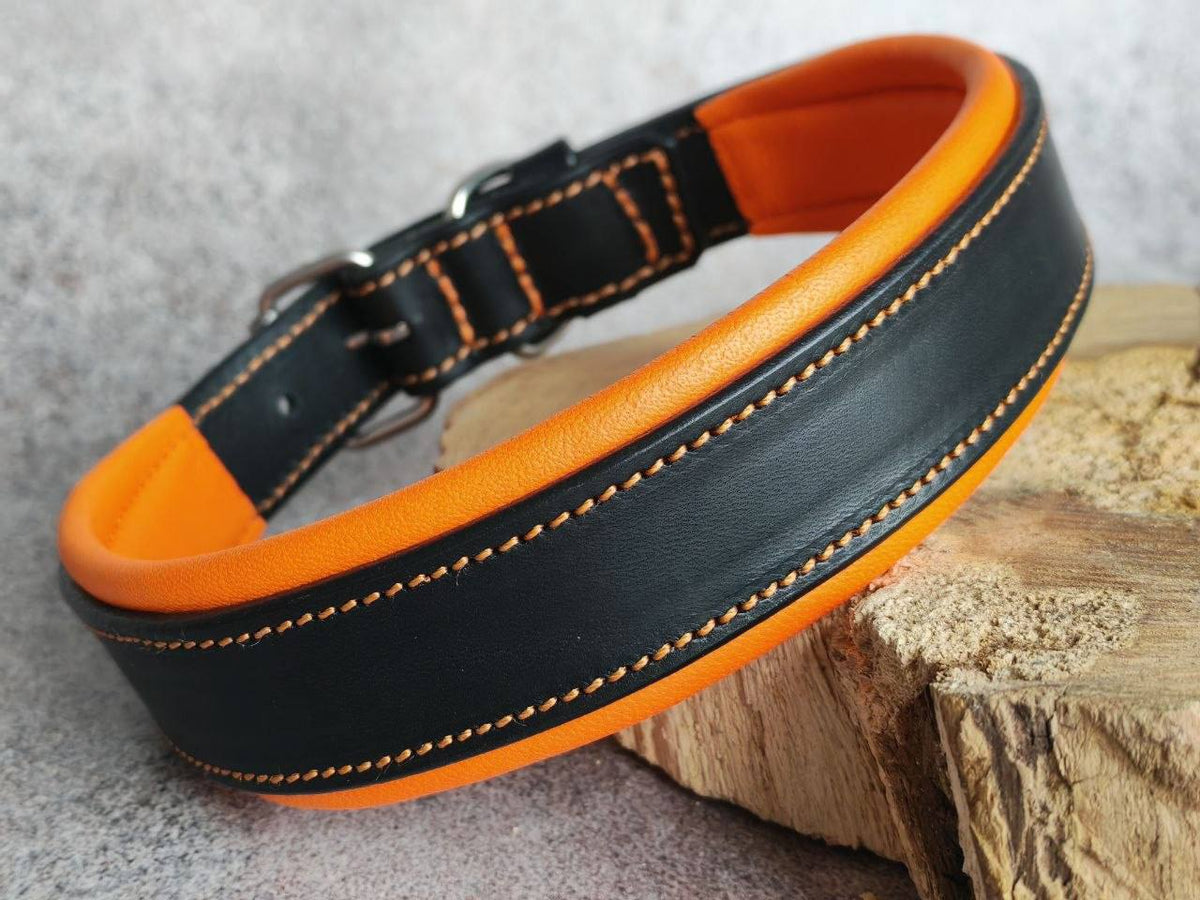 Custom Leather Dog Collar with brass nameplate