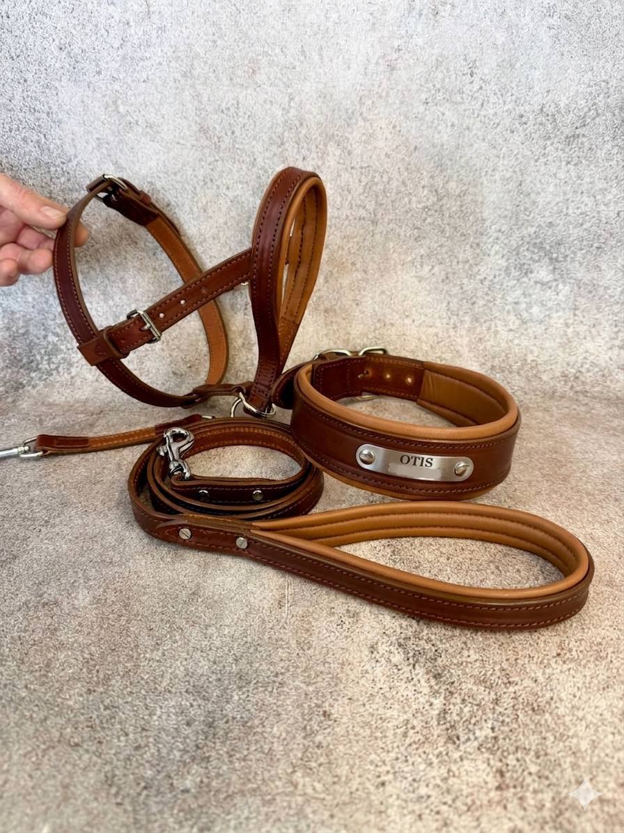 Ultimate No-Pull Leather Dog Set - Brown & Caramel Edition