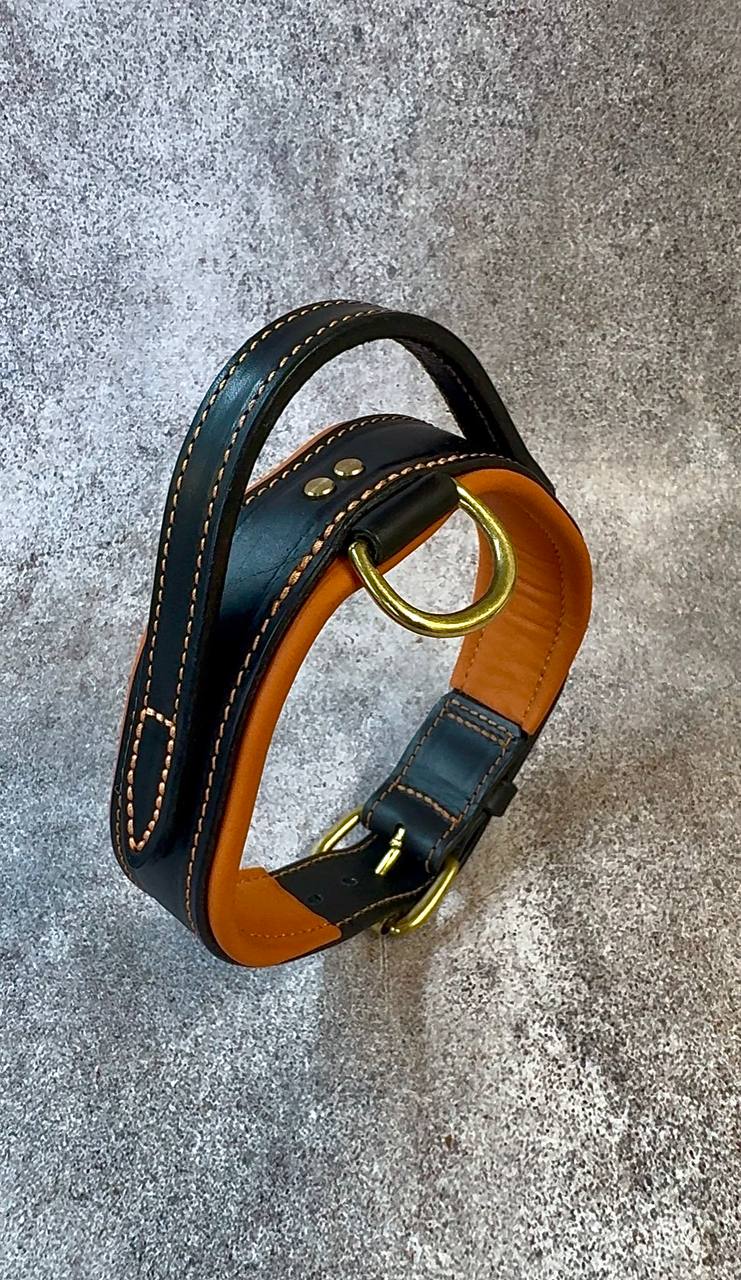 Comfort Edition - Leather Black & Orange Collar with Handle