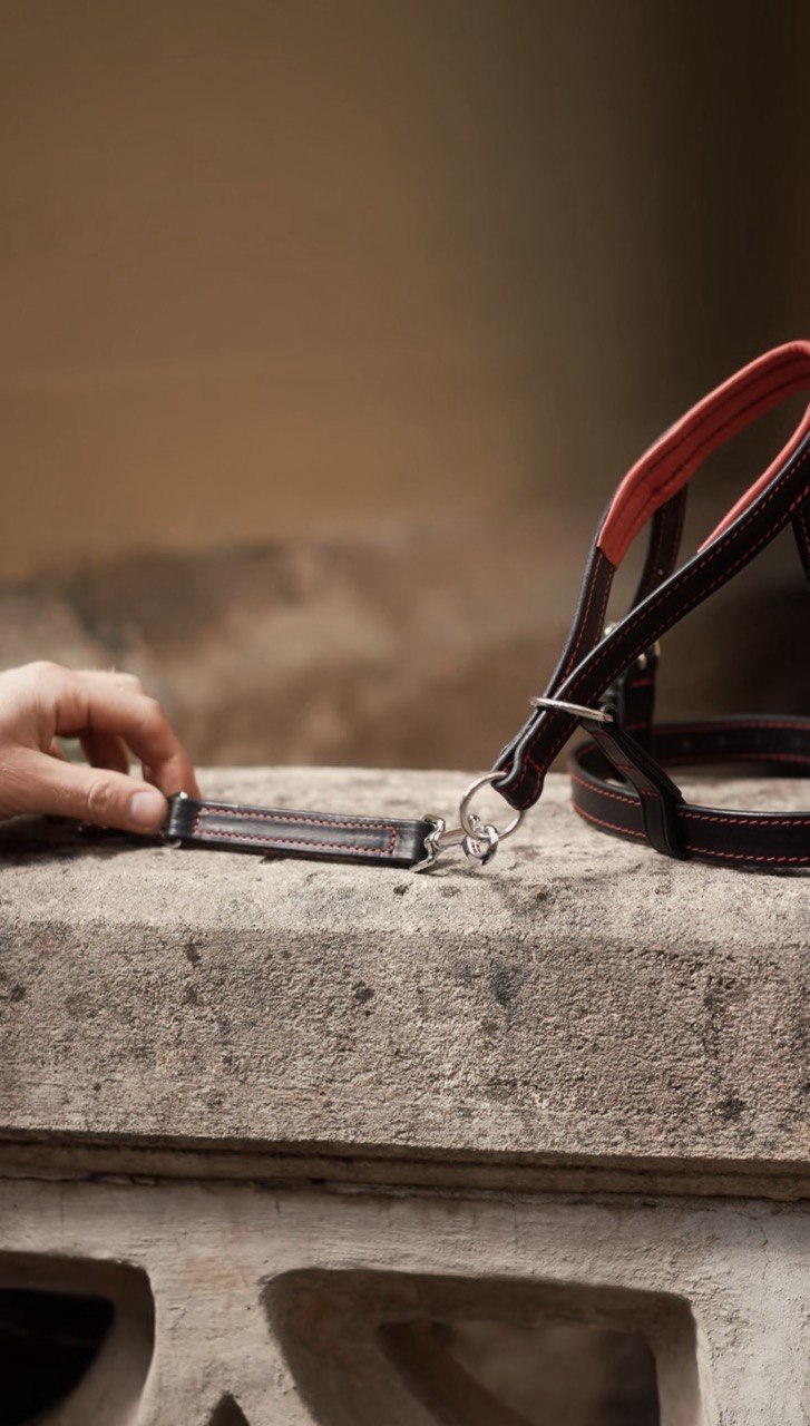 Head Collar
