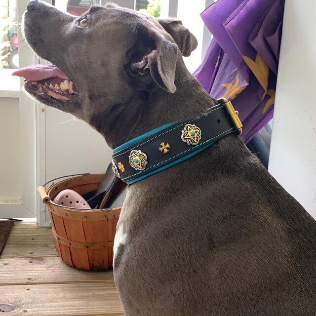 Linda V. review photo for Castellar Decorative Collar