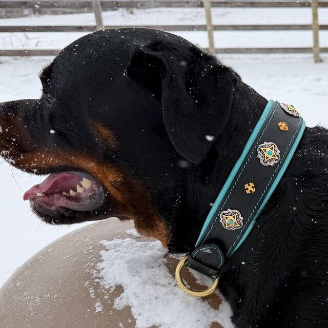 Sarah M. review photo for Castellar Decorative Collar