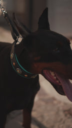 Leather Martingale Dog Collar for Large Dogs