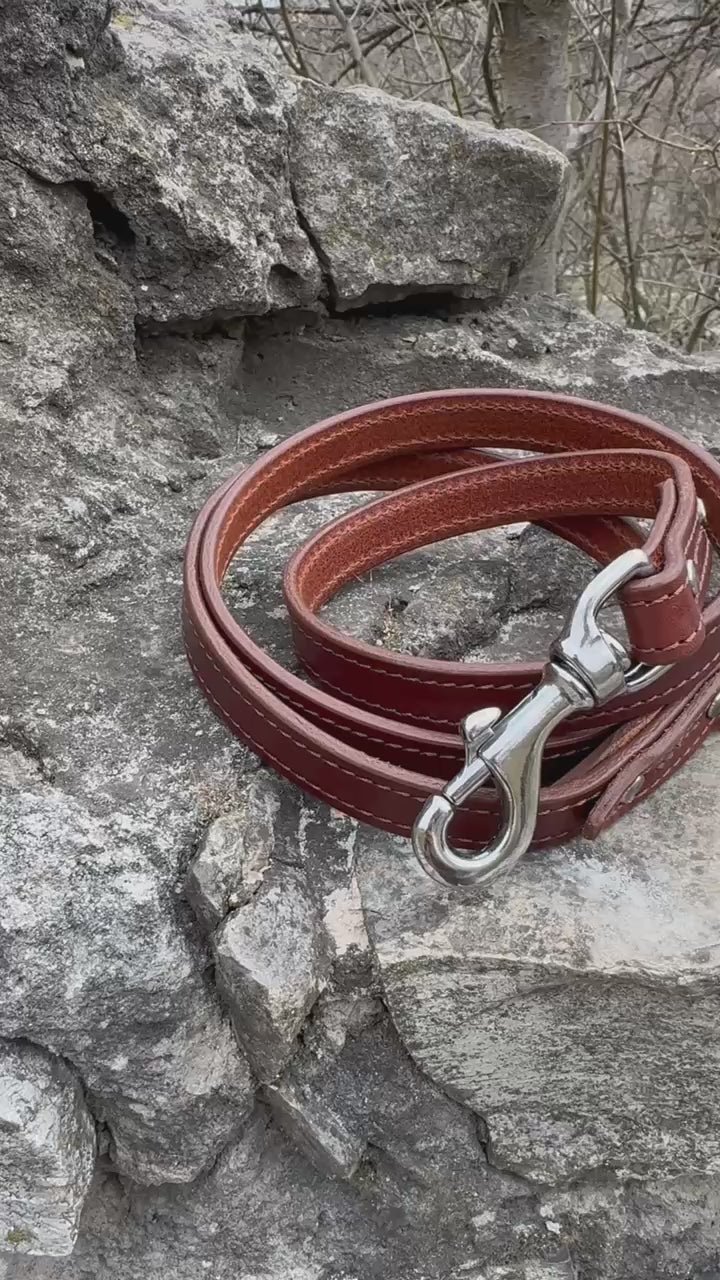 Heavy-Duty Leather Dog Leash - Brown & Caramel Edition