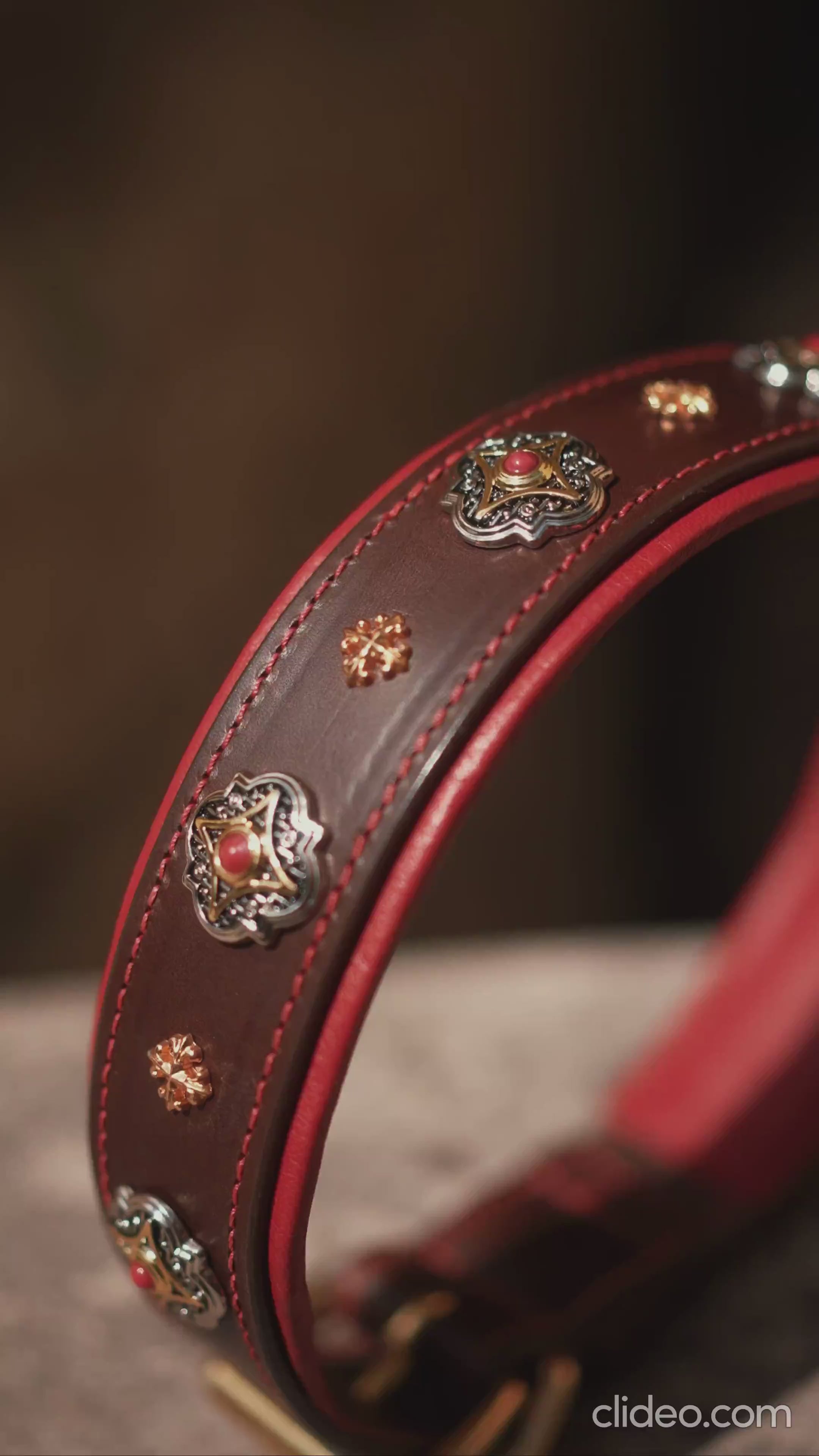 Red Decorative Leather Dog Collar