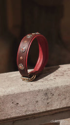 Red Decorative Leather Dog Collar