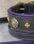 Luxury Black Leather Dog Collar with Purple Padding & Matching Leash