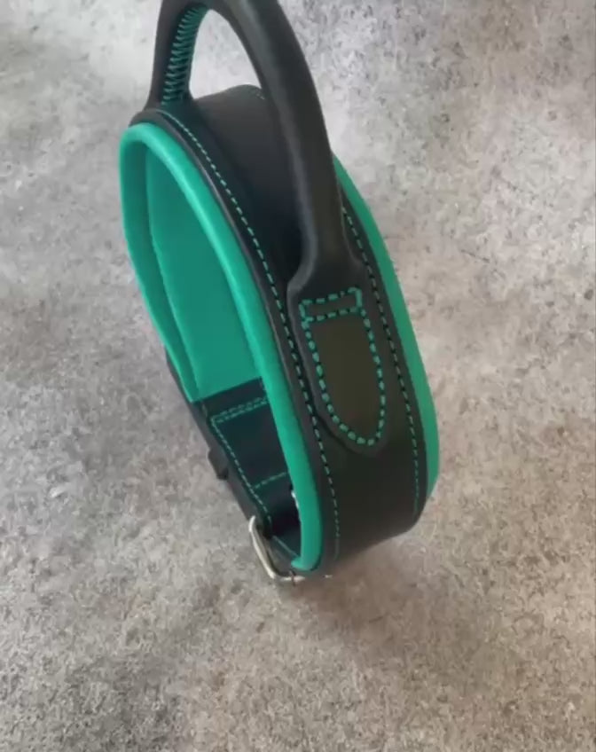 Leather Dog Collar With Round Handle
