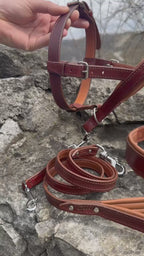 Ultimate No-Pull Leather Dog Set - Brown & Caramel Edition