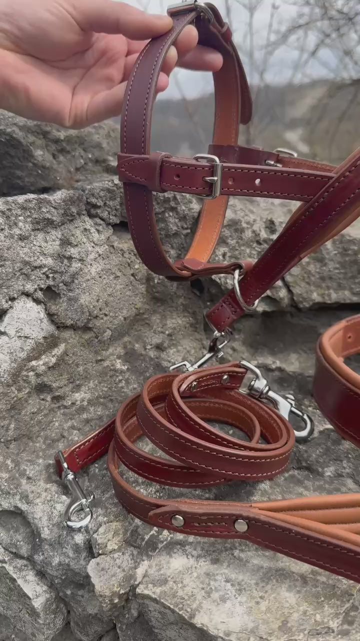 Ultimate No-Pull Leather Dog Set - Brown & Caramel Edition