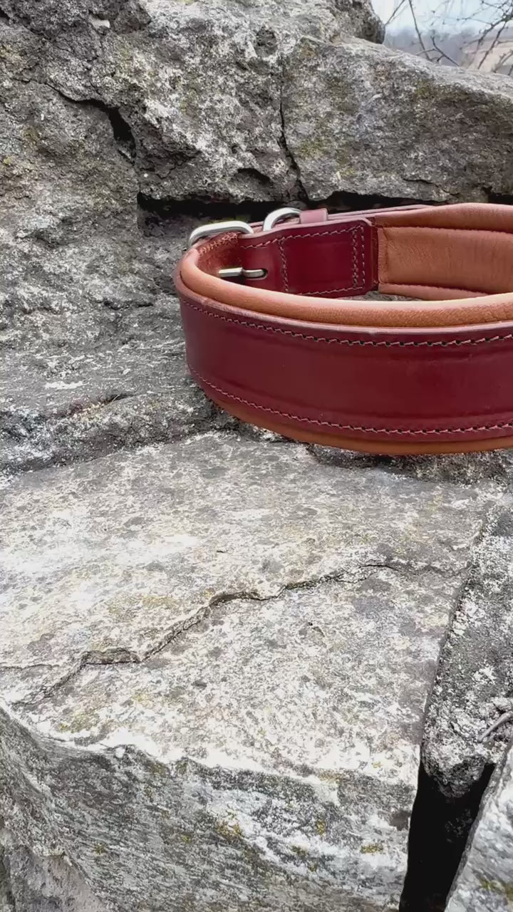 Premium Leather Dog Collar - Brown & Caramel Padded Edition