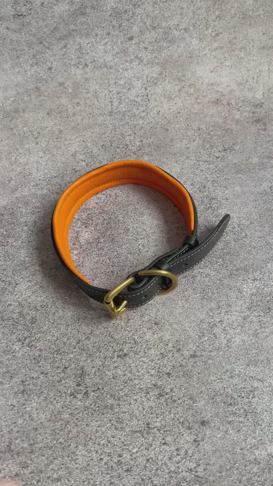 Padded Lether Dog Collar