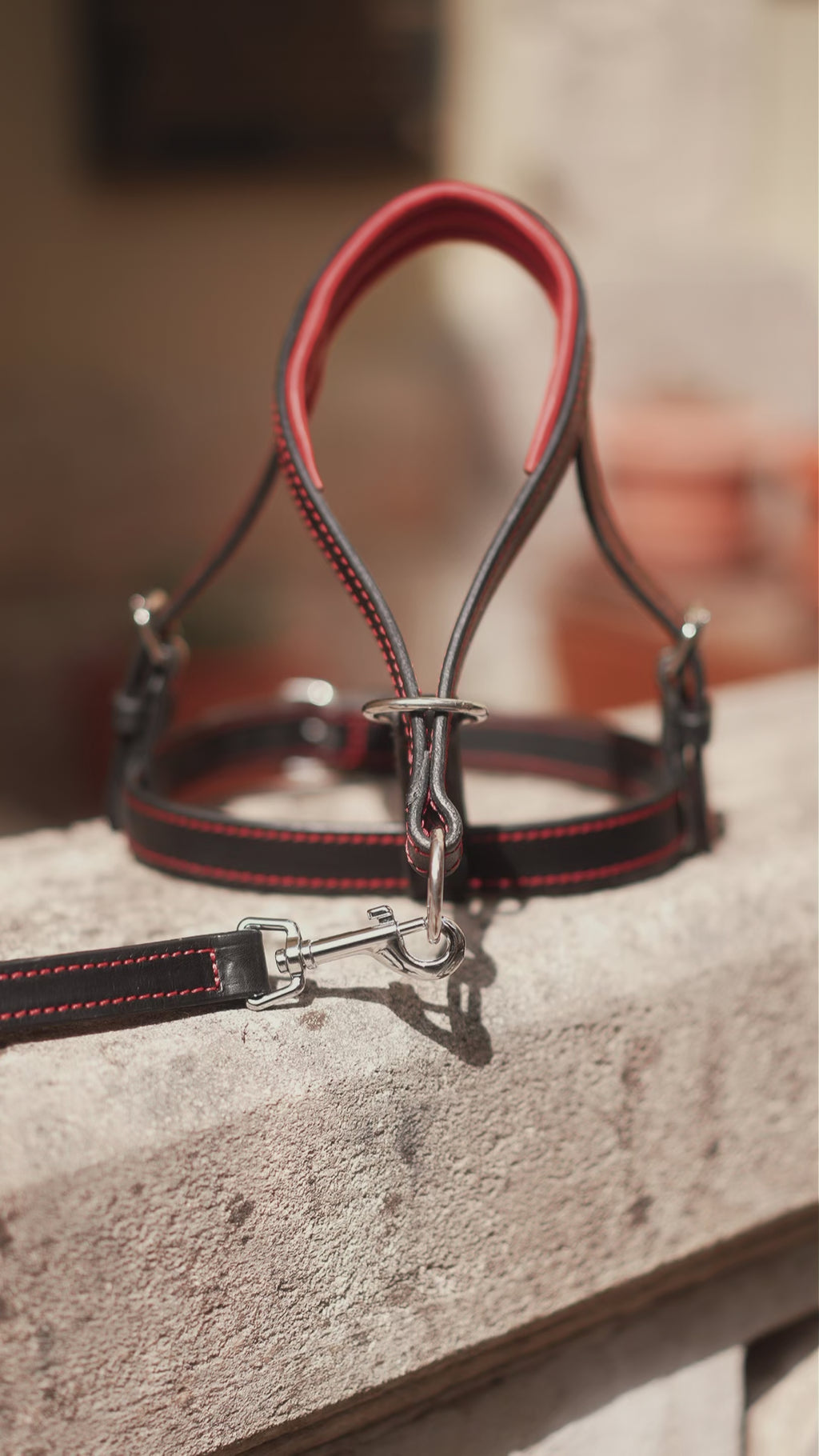 Head Collar