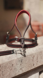 Head Collar