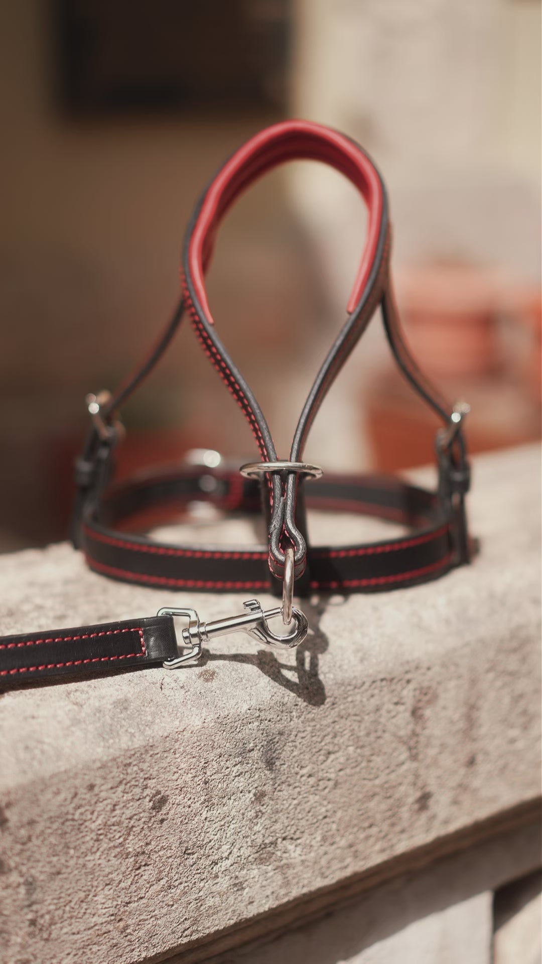 Head Collar