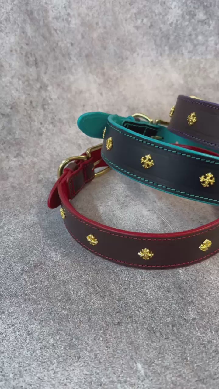 Royal Leather Dog Collar with Golden Plated Conchos 1.6 in Wide