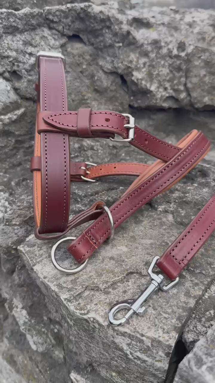 No-Pull Leather Dog Halter - Brown & Caramel Padded Edition