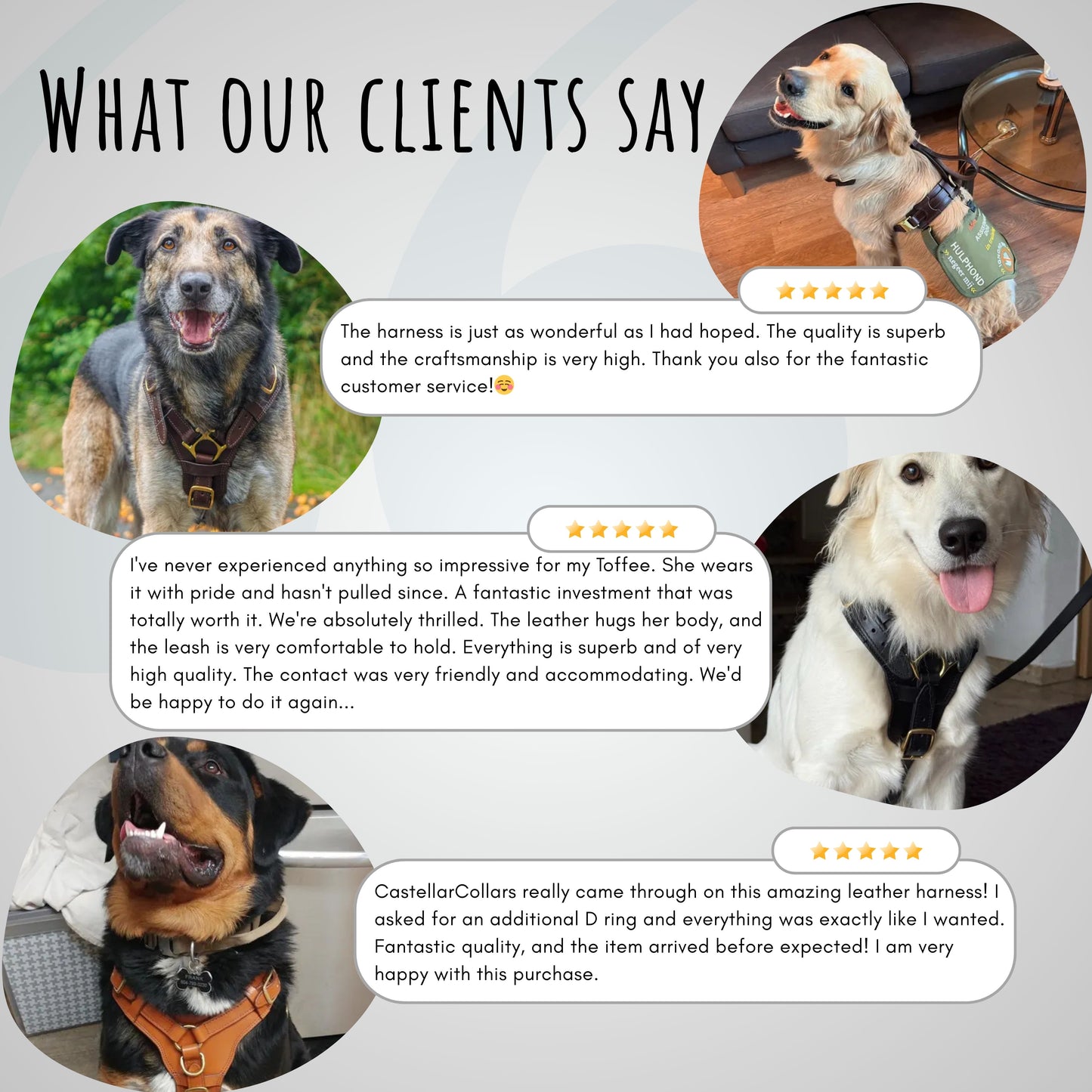 Ergonomic Dog Harness Premium Leather