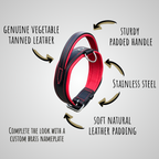 Padded Handle Leather Dog Collar for Large Breeds | Heavy-Duty Training & Control
