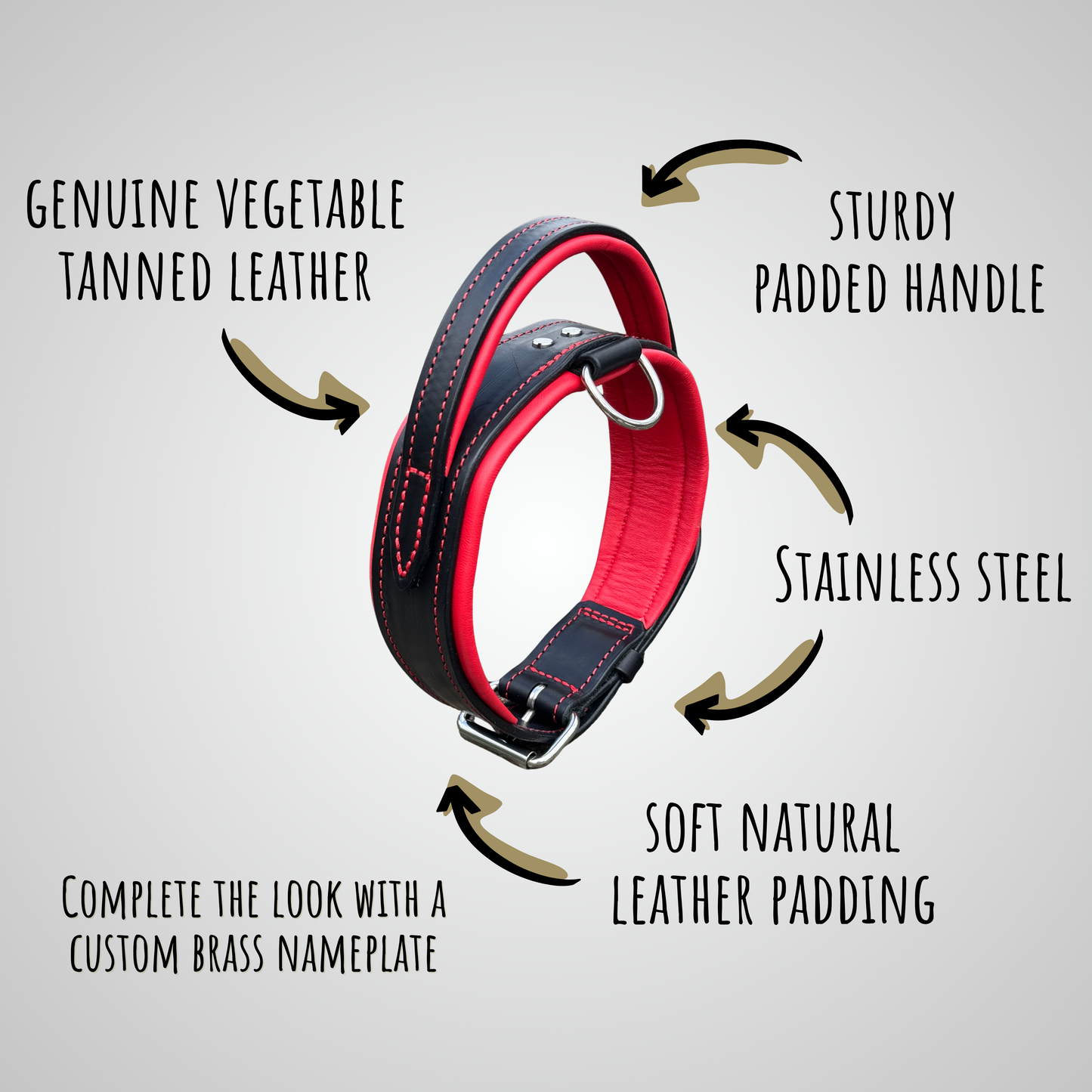 Padded Handle Leather Dog Collar for Large Breeds | Heavy-Duty Training & Control