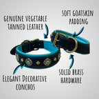 Luxury Black Leather Dog Collar with Purple Padding & Matching Leash