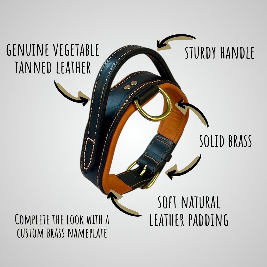Comfort Edition - Leather Black & Orange Collar with Handle