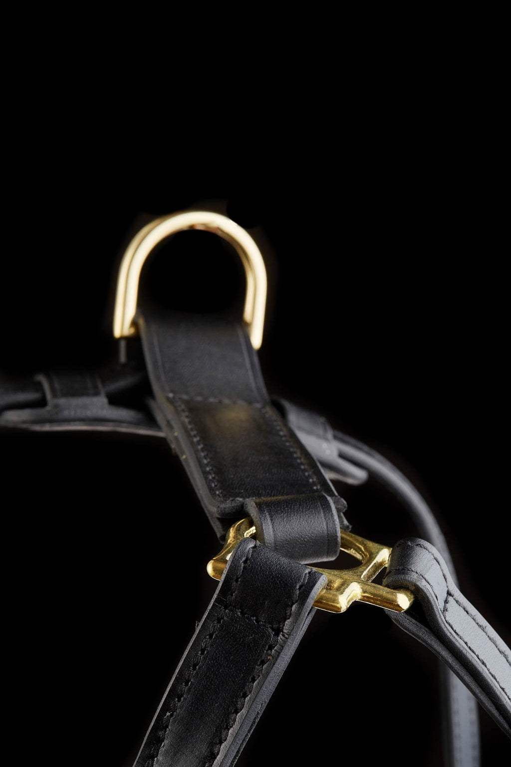 Leather Dog Harness with Padded Y-shaped Breastplate