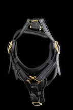 Leather Dog Harness with Padded Y-shaped Breastplate