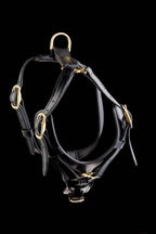 Leather Dog Harness with Padded Y-shaped Breastplate