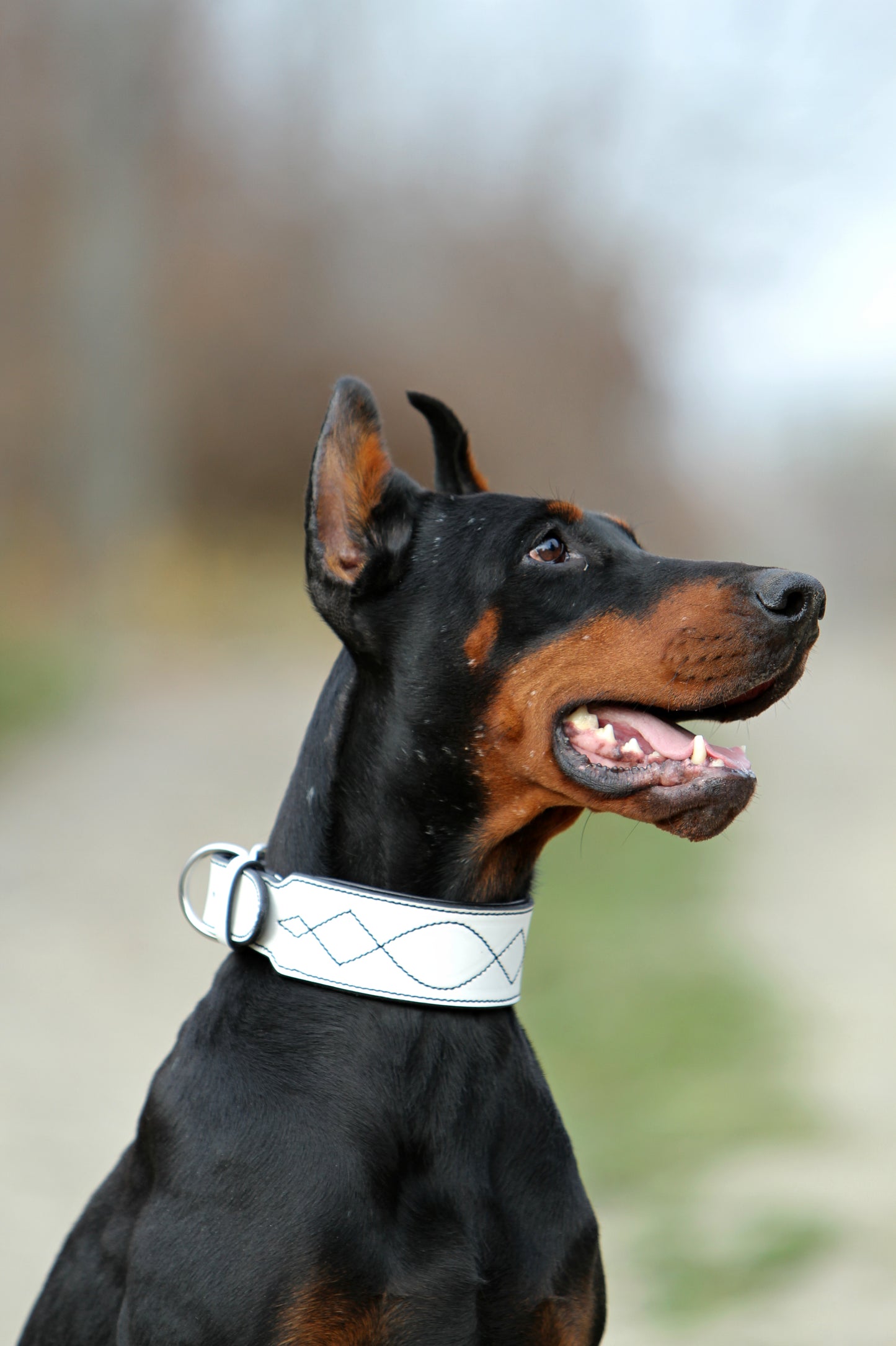 White Leather Dog Collar and Leash Set