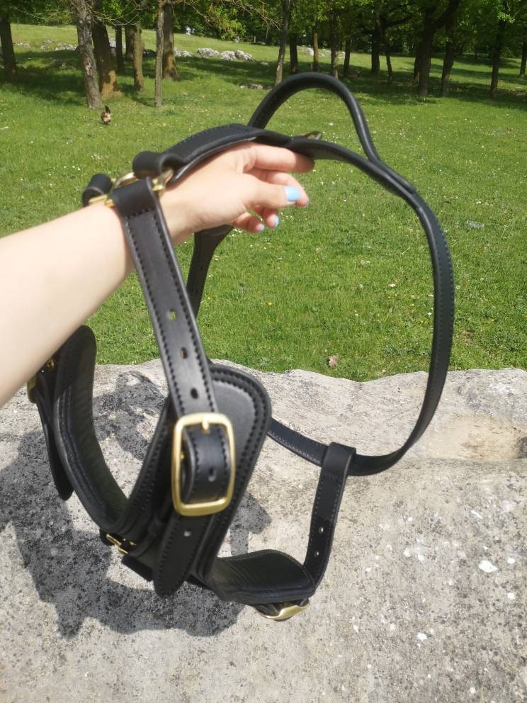 Soft-padded Leather Dog Harness with handle, Leather Dog Harness with solid brass hardware