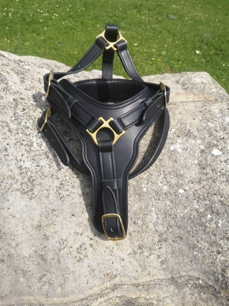 Soft-padded Leather Dog Harness with handle, Leather Dog Harness with solid brass hardware