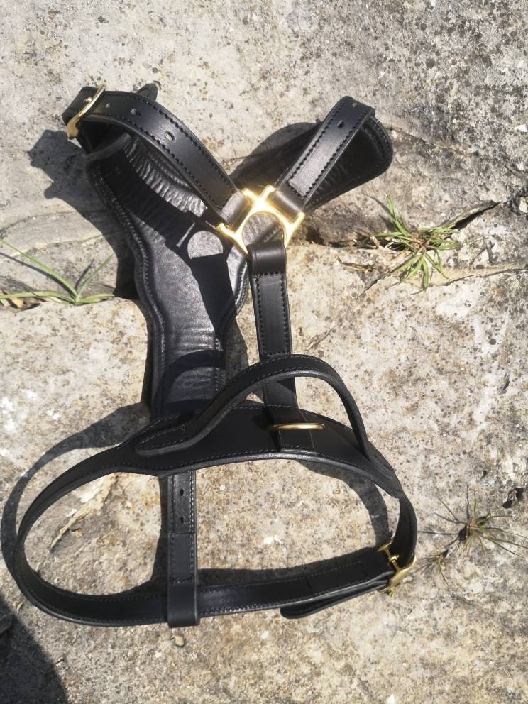 Soft-padded Leather Dog Harness with handle, Leather Dog Harness with solid brass hardware