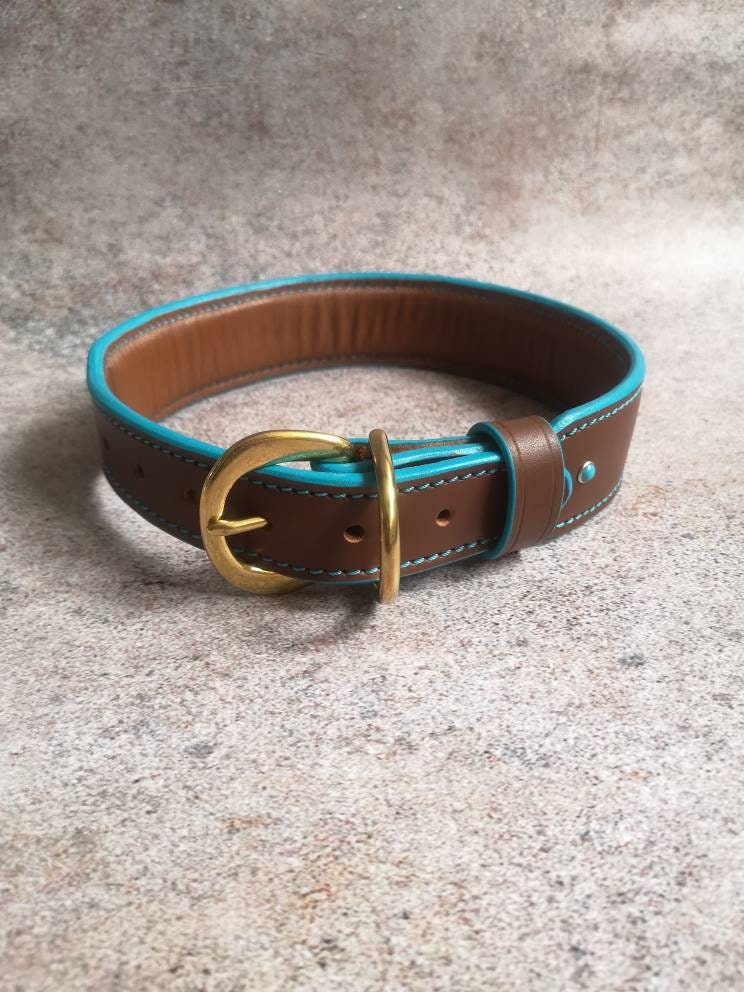 Turquoise Leather Dog Collar, Soft-padded Leather Dog Collar, Decorated Leather Dog Collar, Stylish Dog Collar with fittings