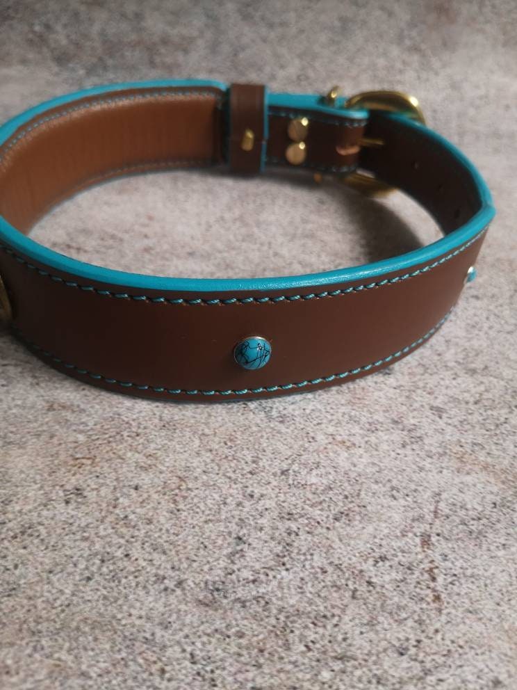 Turquoise Leather Dog Collar, Soft-padded Leather Dog Collar, Decorated Leather Dog Collar, Stylish Dog Collar with fittings