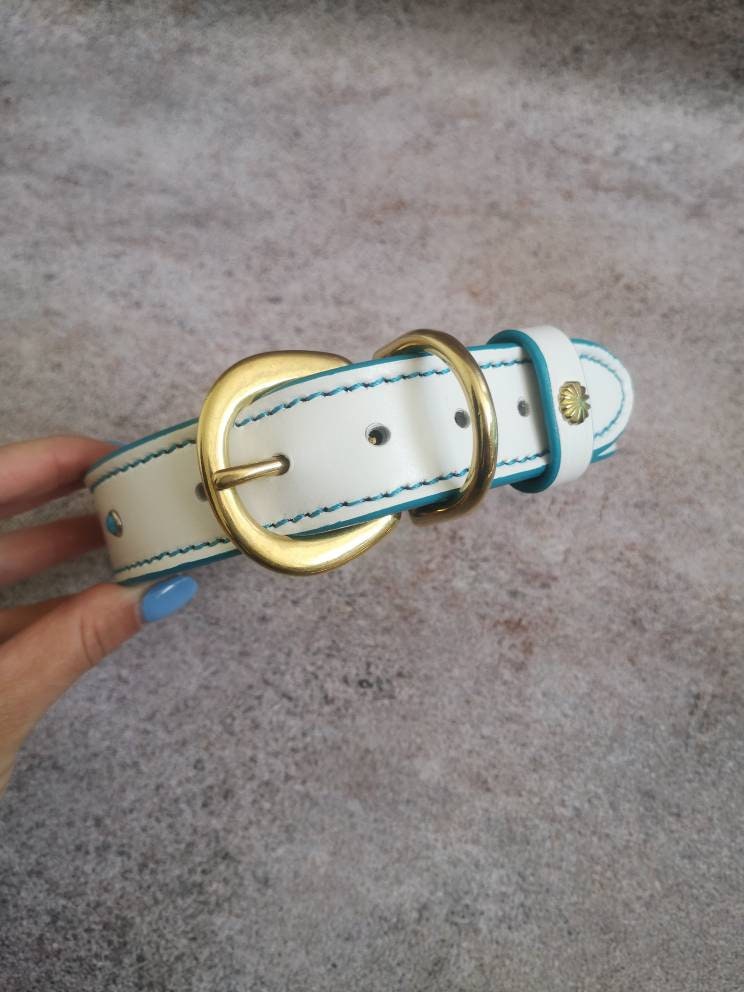 White Leather Dog Collar with turquoise fittings, only M size