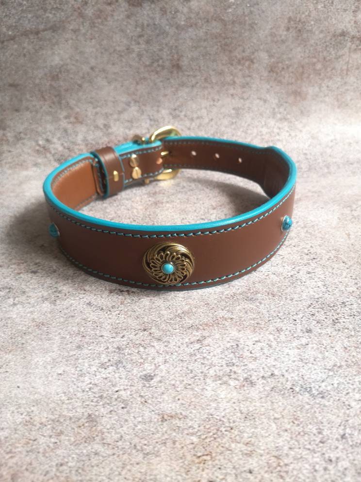 Turquoise Leather Dog Collar, Soft-padded Leather Dog Collar, Decorated Leather Dog Collar, Stylish Dog Collar with fittings