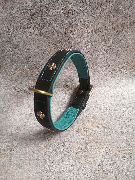 Black and Turquise Leather Dog Collar with Golden Fittings and Solid Brass Hardware