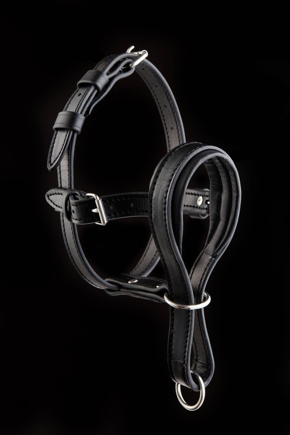 Leather Dog Halter, Leather Head Collar, Dog Head Collar, Dog Head Harness, No Pull Dog Collar, Dog Head Halter, Halter Collar for Dogs