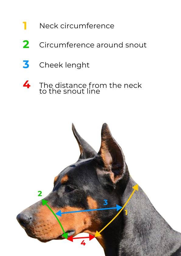 No Pull Dog Head Collar, Leather Halter for Dog, Padded Leather Dog Head Collar with connector, Padded Dog Head Collar, Training Dog Halter