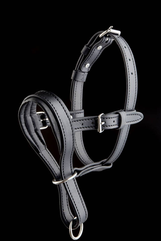 Leather Dog Halter, Leather Head Collar, Dog Head Collar, Dog Head Harness, No Pull Dog Collar, Dog Head Halter, Halter Collar for Dogs