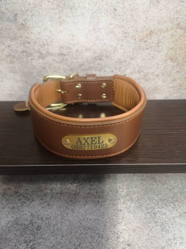 Personalized Wide Leather Dog Collar with Brass ID Tag Name Plate and Brass Buckle, 6 cm Wide Brown Tan Leather Dog Collar with Name