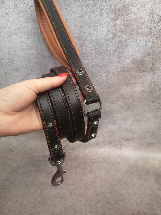 Luxury Leather Dog Leash with Decor, Glamorous Leather Leather Leash 3/4 in, 2 cm Leather Leash for Medium and Big Dog with Stainless steel