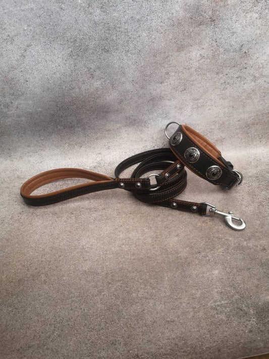 Luxury Leather Dog Collar and Leash Set with Decor and Stainless Steel Snap and Buckle, Fancy Leather Padded Collar with Padded Handle