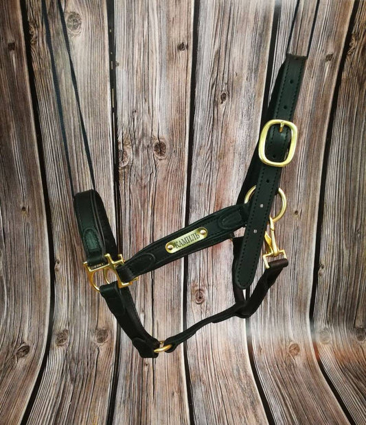 Custom Name Leather Horse Halter with Engraved Golden Nameplate, Black Padded Genuine Leather Halter for Horse, Brass Hardware Halter Horse