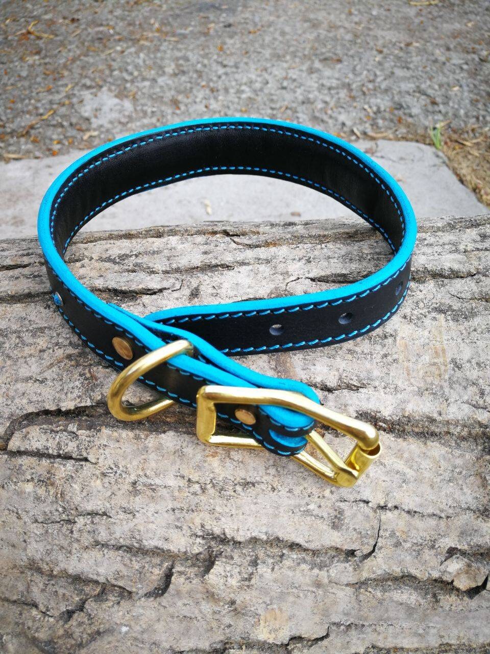 Black Leather Turquoise Leather 2 Layer Dog Collar, Solid Brass Hardware Dog Collar, Flower Pattern, Turquoise, French Bulldog 1 in Collar