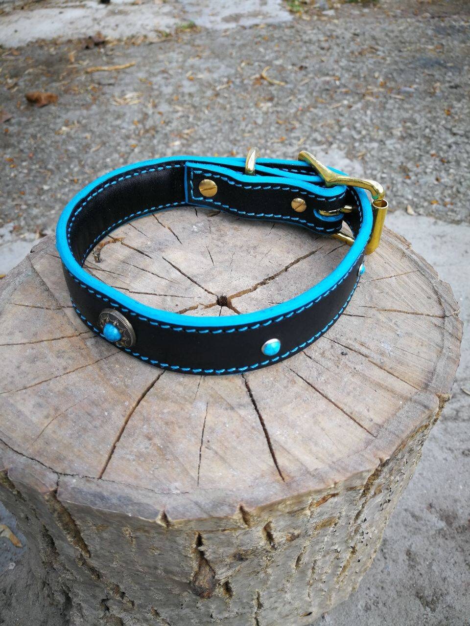 Black Leather Turquoise Leather 2 Layer Dog Collar, Solid Brass Hardware Dog Collar, Flower Pattern, Turquoise, French Bulldog 1 in Collar