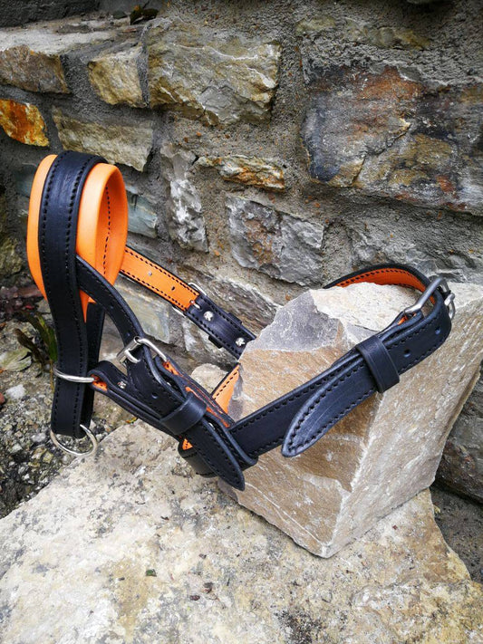 Muzzle Padded Head Collar Dog Head Harness No Pull Headcollar for Dog Muzzle Alternative for Walking head Collar for Big Dogs Head Collar