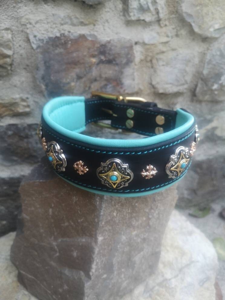 Luxury Padded Leather Dog Collar, Blue Leather Dog Collar with gold rivets, Elegant dog collar, fashion dog collar, crystal dog collar