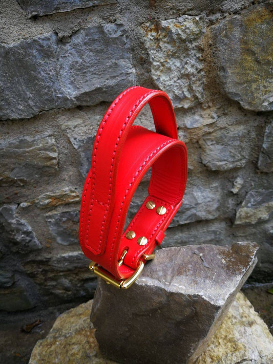 Handle Dog Collar Red Leather Handle Dog Collar 2 in Dog Collar with Handle Leather Collar with Brass Hardware